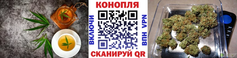 Cannafood конопля  Острогожск 