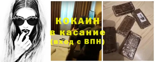 сатива Белокуриха