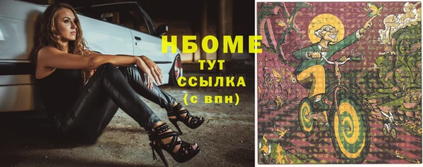 сатива Белокуриха