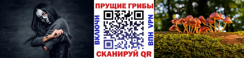 Галлюциногенные грибы Cubensis  Острогожск 