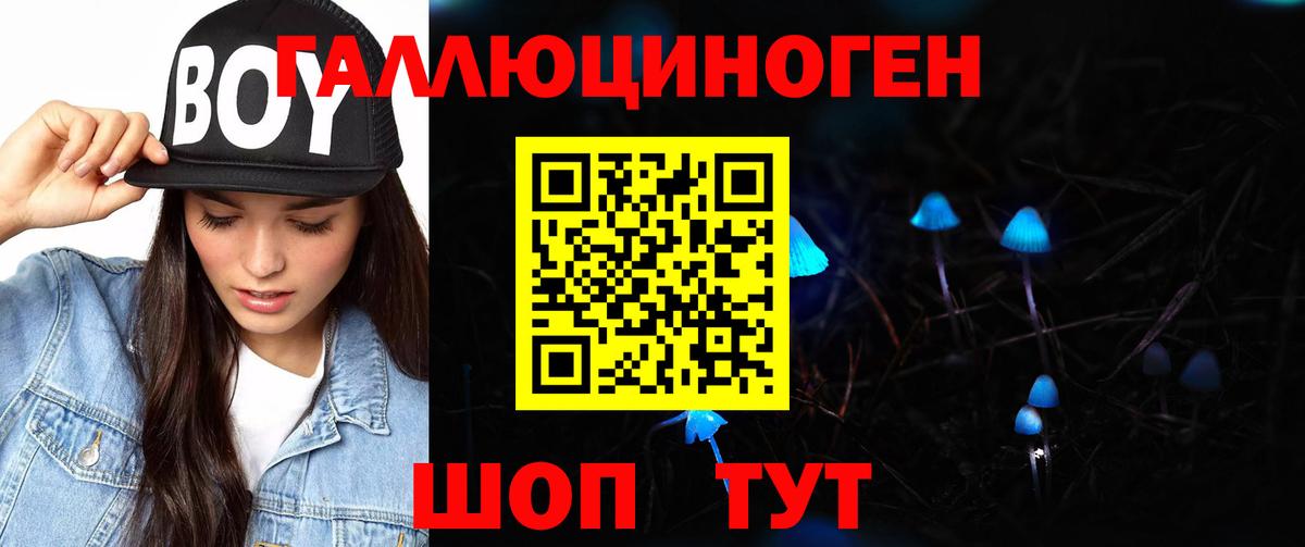 Острогожск  Псилоцибиновые грибы MAGIC MUSHROOMS  Вход с VPN  Галлюциногенные грибы Psilocybine cubensis 